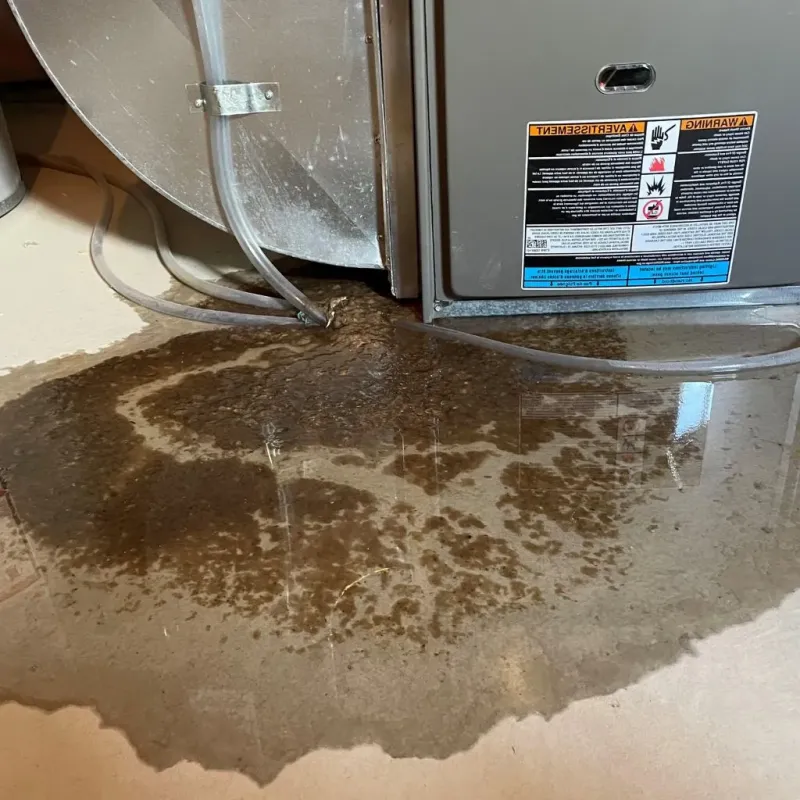 Pipe Burst and Leak Restoration in Boyne City, MI